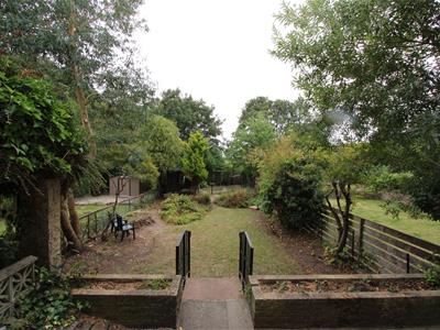 Picture 20